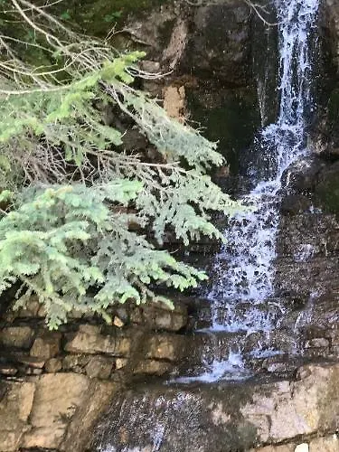 Casa de hóspedes Gaestehaus Baldauf