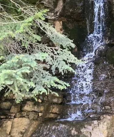 Pensjonat Gaestehaus Baldauf