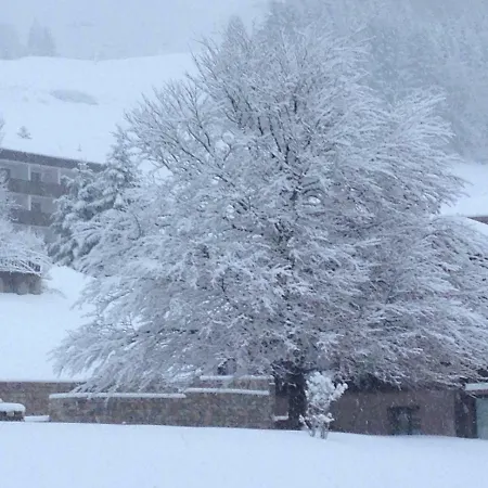 Gaestehaus Baldauf Pensjonat